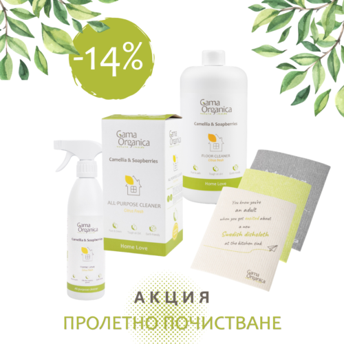 Spring kit "Basic cleaning"